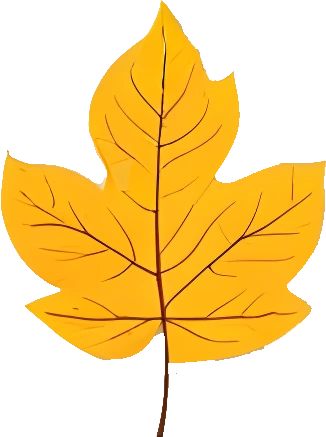 Downloadable Transparent Leaf PNG Image_14.webp